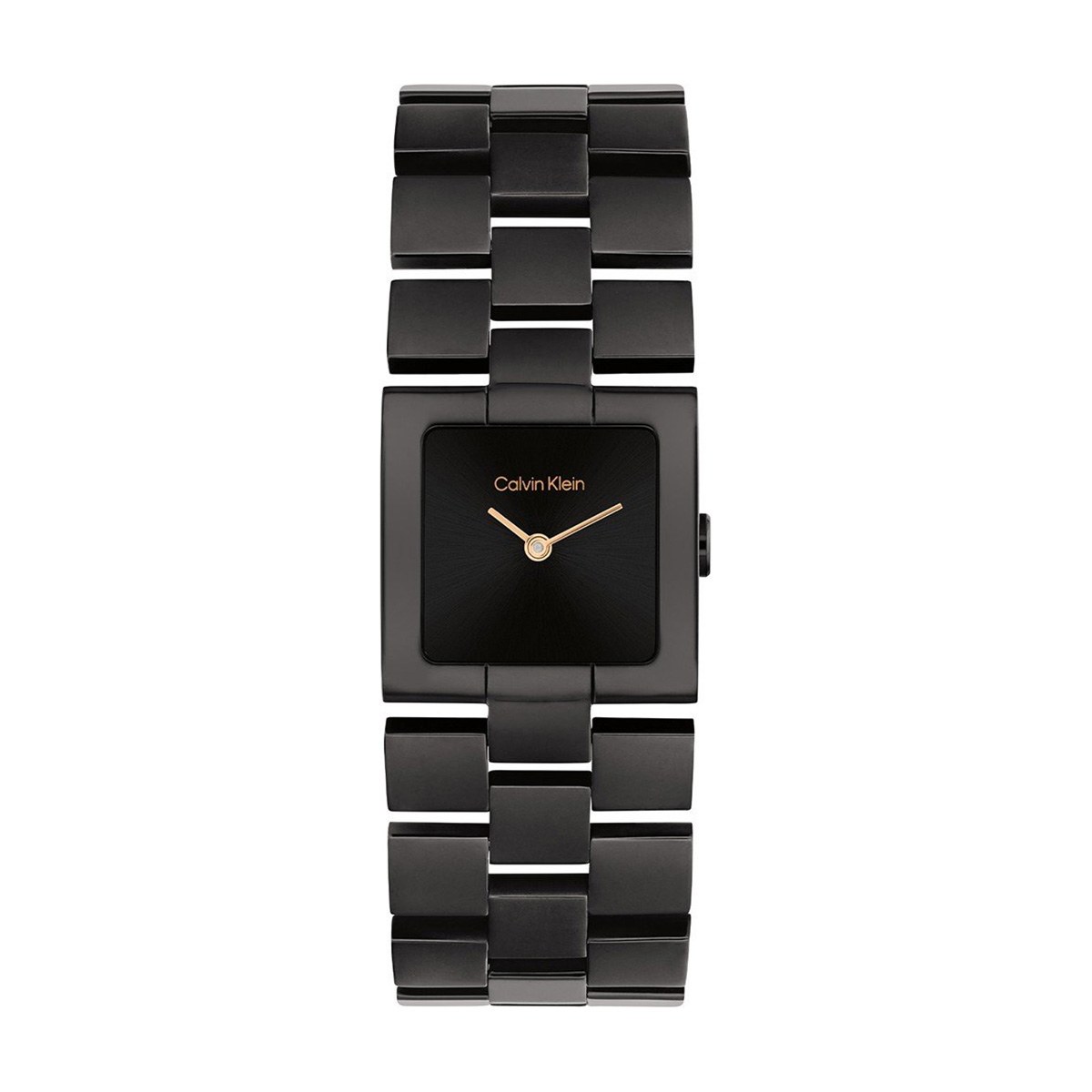 снимка на часовник Часовник Calvin Klein Meridian 25100091